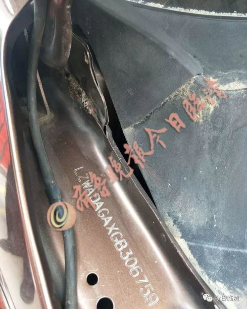 臨清一汽修廠老板拼裝汽車被處理